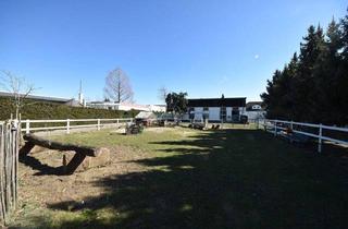 Haus kaufen in 64832 Babenhausen, Babenhausen - DIETZ: **VERKAUFT** Platz Für Ross und Reiter! Wohnhaus + Gewerbegebäude mit 6 Pferdestallungen