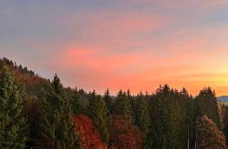 Wohnung kaufen in 87509 Immenstadt, Immenstadt im Allgäu - 3-Zimmer-Wohnung mit Balkon & Tiefgaragenstellplatz