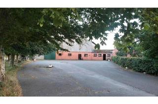 Haus kaufen in 25885 Wester-Ohrstedt, Wester-Ohrstedt - Resthof ein Objekt für Verwirklichungen''