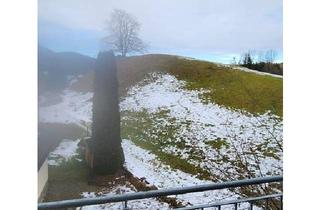 Wohnung kaufen in 87509 Immenstadt, Immenstadt im Allgäu - Eigentumswohnung