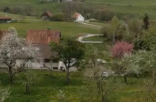 Wohnung kaufen in 88364 Wolfegg, Wolfegg - Komfortabel Wohnen - Perfekt für die besten Jahre ! Oder Anlage