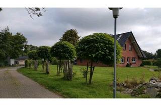 Haus kaufen in 21789 Wingst, Wingst - Haus mit Fachwerk.2 Einheiten oben und unten.+Ferienhaus