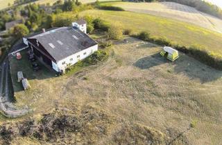 Haus kaufen in 37186 Moringen, Moringen - Seltene Gelegenheit; Grundstück mit Flughangar und Wohnung!