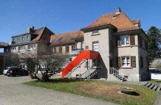 Wohnung mieten in Bahnhofstraße 88, 64823 Groß-Umstadt, MAISONETTE - Wohnen und Arbeiten - Glasfaseranschluß - ehem. Uniformfabrik Blitz