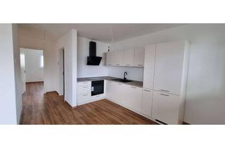 Wohnung mieten in 74736 Hardheim, Erstbezug: Moderne 3-Zimmer-Wohnung mit Balkon in Hardheim