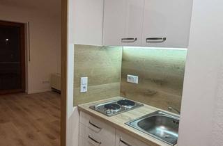 Wohnung mieten in 74189 Weinsberg, Charmantes 1-Zimmer-Appartement in Weinsberg – frisch renoviert & bezugsbereit in 1 Woche