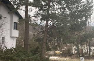 Wohnung mieten in Olympiaring, 83435 Bad Reichenhall, Gefühlt wie ein eigenes Haus: 2 ZKB in Berchtesgadener Land (Kreis), Bad Reichenhall