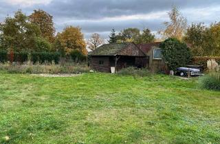 Grundstück zu kaufen in 48485 Neuenkirchen, Baugrundstück ohne Bauzwang