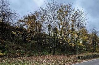 Grundstück zu kaufen in 54293 Ehrang, 531QM EXKLUSIVES MOSELGOLDSTÜCK IN BESTLAGE