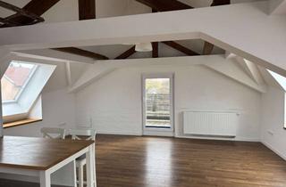 Lofts mieten in Halmsrieder Strasse, 85250 Altomünster, Helles 2-Zimmer Loft im DG mit 103 m² in Altomünster + BLK