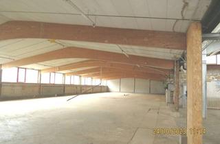 Gewerbeimmobilie mieten in 68782 Brühl, Lager- und/oder Produtionshalle