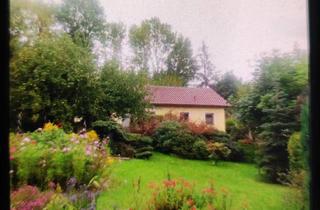 Einfamilienhaus kaufen in Stresemannstrasse, 99817 Eisenach, Kleines Einfamilienhaus im Grünen