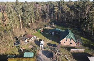 Einfamilienhaus kaufen in 21255 Tostedt, Tostedt - Charmantes EinfamilienhausWaldrandlage inkl. Baugrundstück