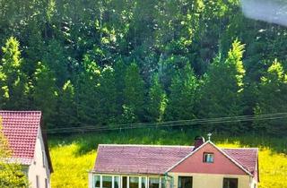 Haus kaufen in 07381 Pößneck, Pößneck - Wohnhaus (fast) Alleinlage mit Pferdehaltung nahe Jena