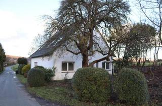 Einfamilienhaus kaufen in 32609 Hüllhorst, Hüllhorst - Großzügiges Einfamilienhaus in unverbaubarer Traumlage