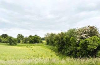 Wohnung mieten in 61118 Bad Vilbel, gemütliche 2-Zimmer-Wohnung mit herrlichem Balkon mit grünem Ausblick!