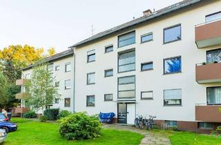 Wohnung mieten in Hasenpfad 11, 32758 Detmold, Frisch renovierte, gemütliche Single Wohnung ab sofort zu vermieten