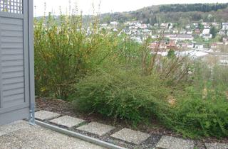 Wohnung mieten in 74821 Mosbach, 74821 Mosbach: 1 Zi.-App. mit EBK, DU/WC und Terrasse in Aussichtslage