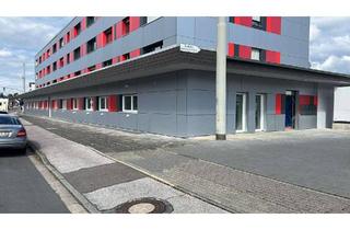 Wohnung mieten in Krefelderstrasse 233, 47839 Hüls, ** HÜLS 2-ZKBB - 1.OG *** hell & renoviert! (20) **