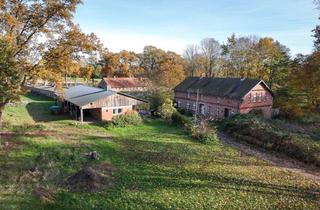 Haus kaufen in 19294 Malk, Historischer Charme in ruhiger Lage. Für Tierhalter reizvoll!