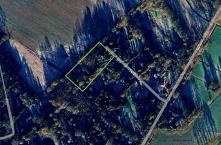 Haus kaufen in 27389 Fintel, Ein Haus im "Wunderwald" nahe Eurostrand