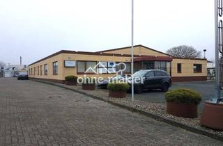 Gewerbeimmobilie mieten in Rudolf-Diesel-Str. 11, 24568 Kaltenkirchen, Helle Bürofläche in Kaltenkirchen