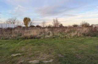 Grundstück zu kaufen in 33449 Langenberg, BAUEN MIT WEITBLICK SELTENE TOP-HANGLAGE