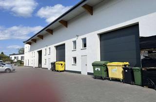 Gewerbeimmobilie mieten in 64625 Bensheim, Moderne Halle in Massivbauweise, 2 Rolltore, Stellplätze