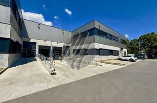 Büro zu mieten in 65719 Hofheim am Taunus, RAMPE + EBEN ✓ Moderne Lagerflächen (3.600 m²) & Büroflächen (450 m²) zu vermieten