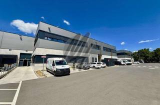 Büro zu mieten in 65439 Flörsheim, RAMPE + EBEN ✓ Moderne Lagerflächen (3.600 m²) & Büroflächen (450 m²) zu vermieten