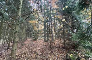 Grundstück zu kaufen in 83547 Babensham, Brennholz aus eigenem Wald