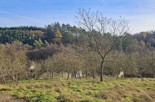 Grundstück zu kaufen in 59846 Sundern, Baugrundstück in Sundern-Stemel