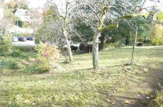 Grundstück zu kaufen in 76593 Gernsbach, Großer, vielseitig bebaubarer Bauplatz in 76593 Gernsbach