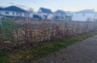 Grundstück zu kaufen in 54662 Speicher, Voll erschlossenes Baugrundstück im Neubaugebiet in Speicher!