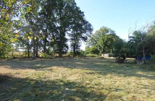 Grundstück zu kaufen in Dorfstraße 32, 17440 Lütow, Absolut ruhige Wohnlage ! Bauträger- und Provisionsfrei ! Komplett neu erschlossen !