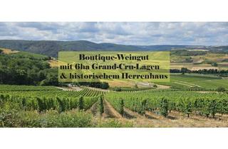 Immobilie kaufen in 54470 Bernkastel-Kues, Boutique-Weingut mit historischer Villa