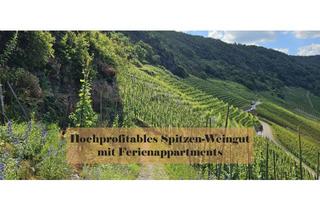 Immobilie kaufen in 54470 Bernkastel-Kues, Hochprofitables Spitzen-Weingut an der Mittelmosel