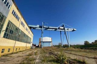 Lager kaufen in 19258 Boizenburg, Attraktives Hafenareal Boizenburg - Werfthallen & Entwicklungspotenzial