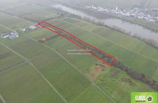 Gewerbeimmobilie kaufen in 54487 Wintrich, Kapitalanlage Wald-/Wiesenfläche 8.845m² in 54487 Wintrich an der Mosel zu Verkaufen