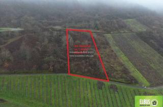 Gewerbeimmobilie kaufen in 54487 Wintrich, Kapitalanlage Wald-/Wiesenfläche 1.601m² in 54487 Wintrich an der Mosel zu Verkaufen