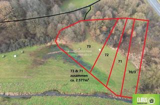 Gewerbeimmobilie kaufen in Zum Rodenbühl 24, 66606 St. Wendel, Kapitalanlage Wald-/Wiesenfläche 2.577m² in 66606 St.Wendel zu Verkaufen
