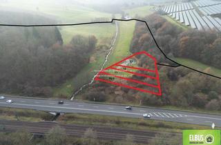 Gewerbeimmobilie kaufen in Zum Rodenbühl 24, 66606 St. Wendel, Kapitalanlage Wald-/Wiesenfläche 2.577m² in 66606 St.Wendel zu Verkaufen