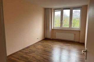Wohnung mieten in 38259 Bad, Gemütliche 2-Zimmer-Wohnung im Herzen von Salzgitter Bad