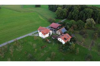 Wohnung mieten in Pfingstweider Str. 30, 88074 Meckenbeuren, Möblierte 2-Zimmer-Wohnung mit Terrasse in Meckenbeuren