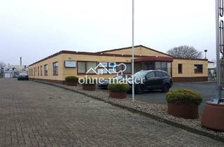 Büro zu mieten in 24568 Kaltenkirchen, Helle Bürofläche in Kaltenkirchen