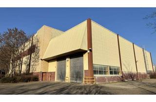 Gewerbeimmobilie mieten in Kuntzestr. 72, 73079 Süßen, Produktions- und Lagerhalle mit Hochregallager