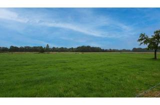 Grundstück zu kaufen in 33161 Hövelhof, Landwirtschaftliche Nutzflächen in attraktiver Lage zwischen Hövelhof & Kaunitz