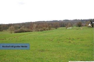 Einfamilienhaus kaufen in 31749 Auetal, Auetal - 15.000m² großer Resthof mit Weide, Stallungen und Scheune im Auetal (Nähe Hannover)