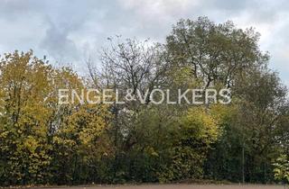 Haus kaufen in 40822 Mettmann, Mettmann - Baugrundstück in Citylage von Mettmann