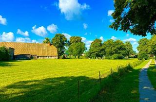 Bauernhaus kaufen in 17213 Malchow, Malchow - Bauernhaus mit integrierter Scheune*6270qm Grund* nur 330.000?*